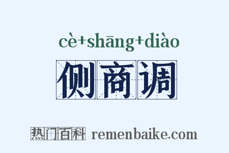 侧商调是什么意思的图片